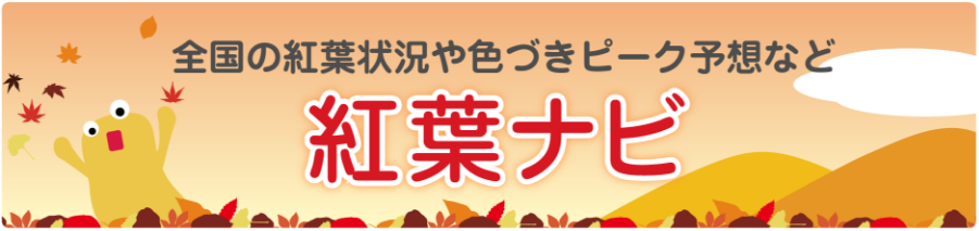 紅葉ナビはこちら