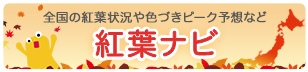 紅葉ナビ