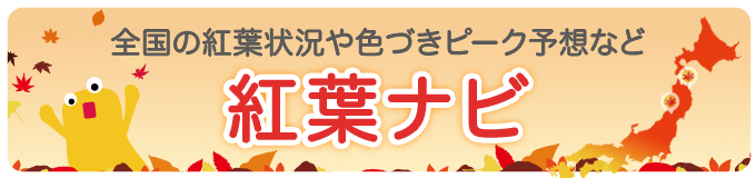 紅葉ナビ